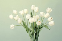Whire tulips flower plant inflorescence. AI generated Image by rawpixel.