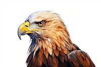 Eagle animal eagle bird. AI generated Image by rawpixel.