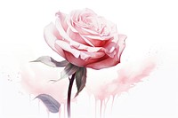 Rose drawing flower plant. AI generated Image by rawpixel.