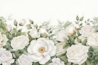 White roses garden backgrounds pattern flower. 