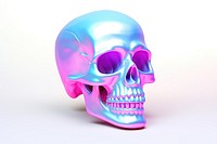 Skull white background clothing biology. 