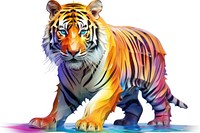 Tiger wildlife cartoon animal. 