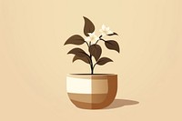 Potted plant flower houseplant terracotta. 