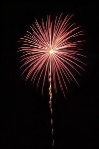 Firework fireworks outdoors nature. 