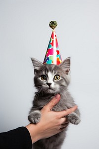 Hand holding cat mammal animal party. AI generated Image by rawpixel.