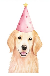 Pink birthday hat cartoon mammal animal. 