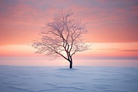 Beautiful sunrise winter landscape outdoors horizon. 