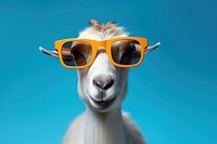 Cute goat sunglasses livestock animal. AI generated Image by rawpixel.