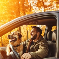 Young man driving vehicle autumn. 