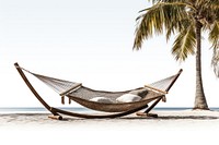 Hammock furniture beach tranquility. AI generated Image by rawpixel.