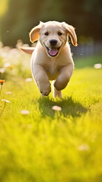 Puppy playing animal mammal grass. AI generated Image by rawpixel.