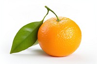 Grapefruit tangerine plant food. AI generated Image by rawpixel.