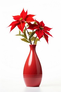 Flower vase christmas plant. 