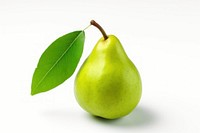 Pear fruit plant green. 