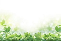 Outdoor greenery sunlight outdoors backgrounds. 