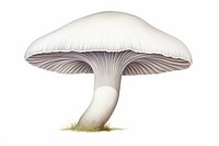 Mushroom fungus agaric plant. AI generated Image by rawpixel.