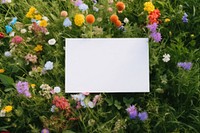 Flowers invitation card field outdoors. 