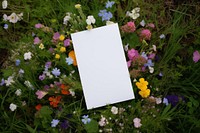 Flowers invitation card outdoors nature. AI generated Image by rawpixel.