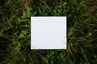 Square card grass outdoors nature. 