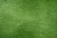 Green wall background backgrounds grass textured. AI generated Image by rawpixel.