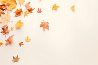 Autumn leaves backgrounds falling maple. 