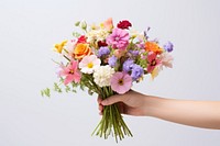 Hand holding flower bouquet plant rose inflorescence. 