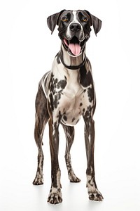 Great dane pointer animal mammal. AI generated Image by rawpixel.