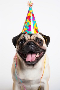 Dog pug mammal animal. AI generated Image by rawpixel.