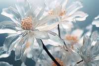 Frosted glass flower blossom nature. AI generated Image by rawpixel.