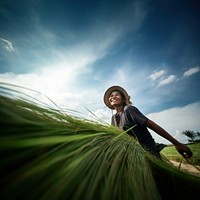 Woman farmer working sustainable farming agriculture. 