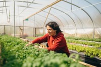 Sustainable farming greenhouse gardening outdoors. AI generated Image by rawpixel.