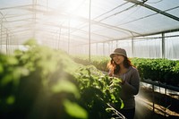 Sustainable farming greenhouse agriculture gardening. 