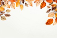 Autumn ornament backgrounds plant leaf. 