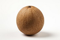 Nutmeg coconut fruit plant. AI generated Image by rawpixel.
