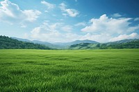 Field landscape outdoors pasture. 