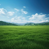 Field landscape outdoors horizon. 