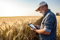 Field harvesting outdoors working. 