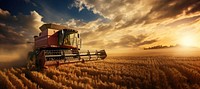 Farming agriculture outdoors harvest. AI generated Image by rawpixel.