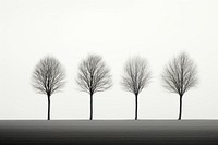 Minimal background tree outdoors nature. AI generated Image by rawpixel.