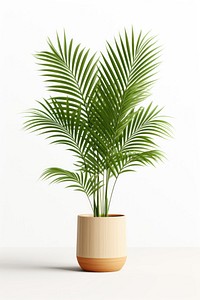 Plant leaf tree vase. AI generated Image by rawpixel.