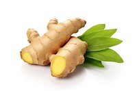 Ginger plant food white background. 