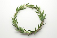 Wreath plant leaf white background. 