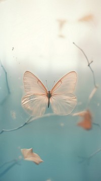 Butterfly outdoors animal insect. AI generated Image by rawpixel.
