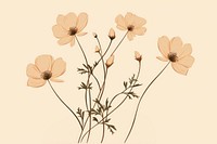 Wildflower plant petal inflorescence. AI generated Image by rawpixel.