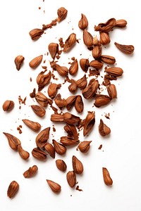 Oak nuts dessert food seed. AI generated Image by rawpixel.
