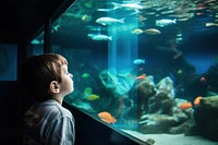 Aquarium fish watching outdoors. AI generated Image by rawpixel.