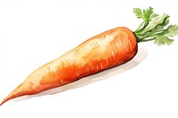 Carrot vegetable food white background. AI generated Image by rawpixel.