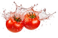 Water splash tomato vegetable plant. 