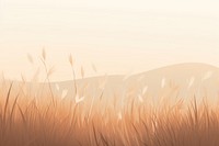 Empty dry Grass field grass backgrounds outdoors. 