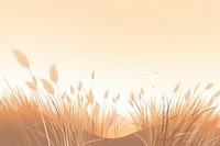 Empty dry Grass field grass backgrounds landscape. 